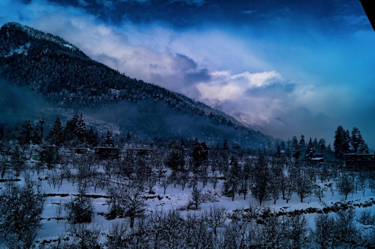 Hostel Alt Life - Manali Zewnętrze zdjęcie